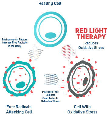 red light therapy reduces oxidative stress
