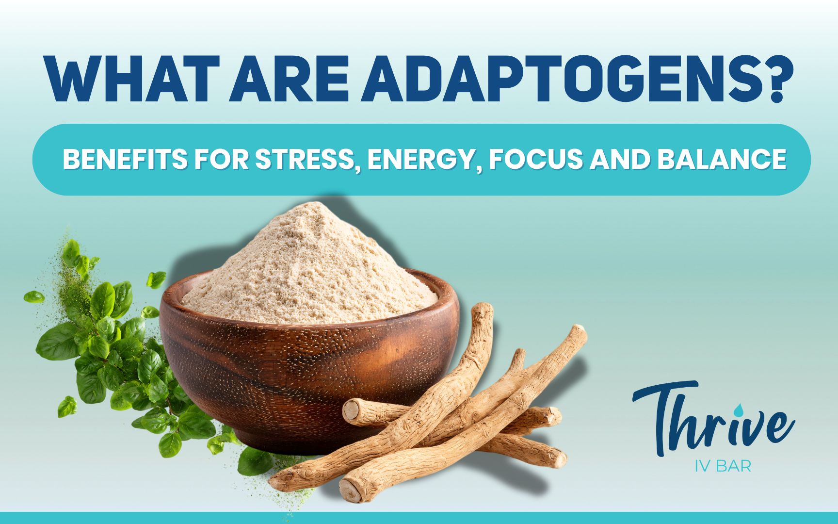 tiv-feb2026-blog1 What Are Adaptogens? Benefits for Stress, Energy, Focus and Balance